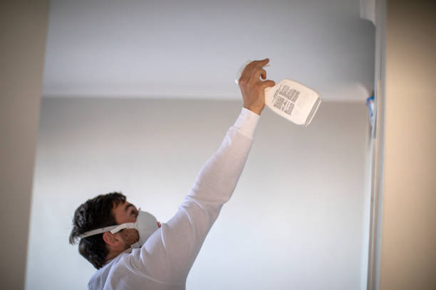 Best Local Mold Removal Service  in Scranton, PA