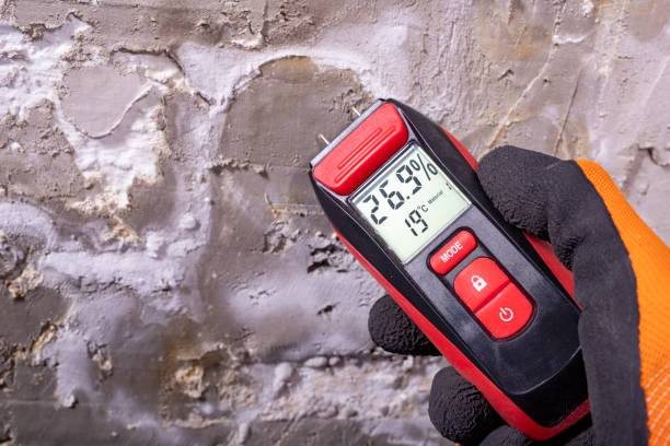Best Commercial Mold Removal  in Scranton, PA
